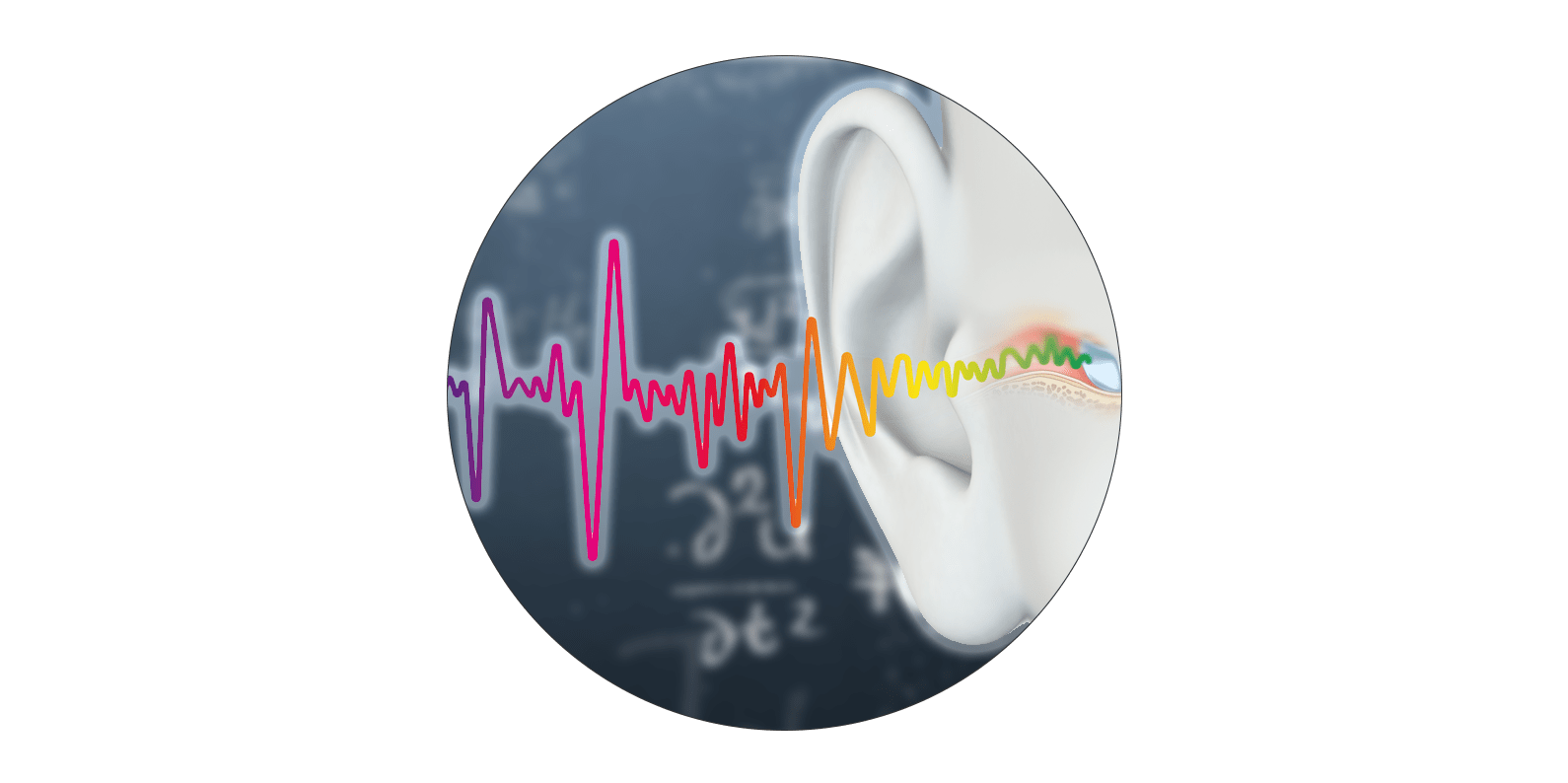 Signia Onlinetraining Anpassformeln