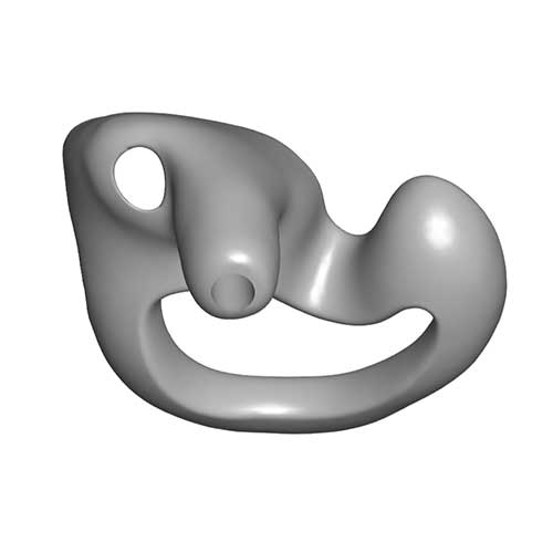 Exemple d'embout porte tube IROS