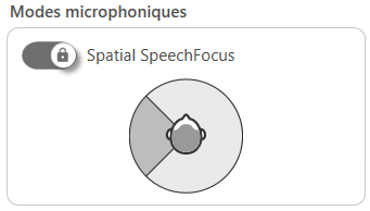 figure 10 spatial speechfocus
