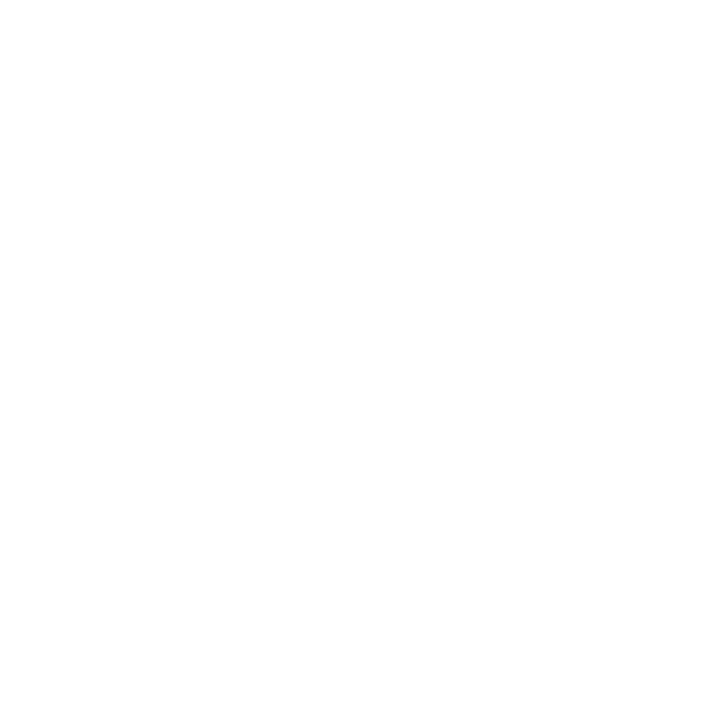 Signia IX icon