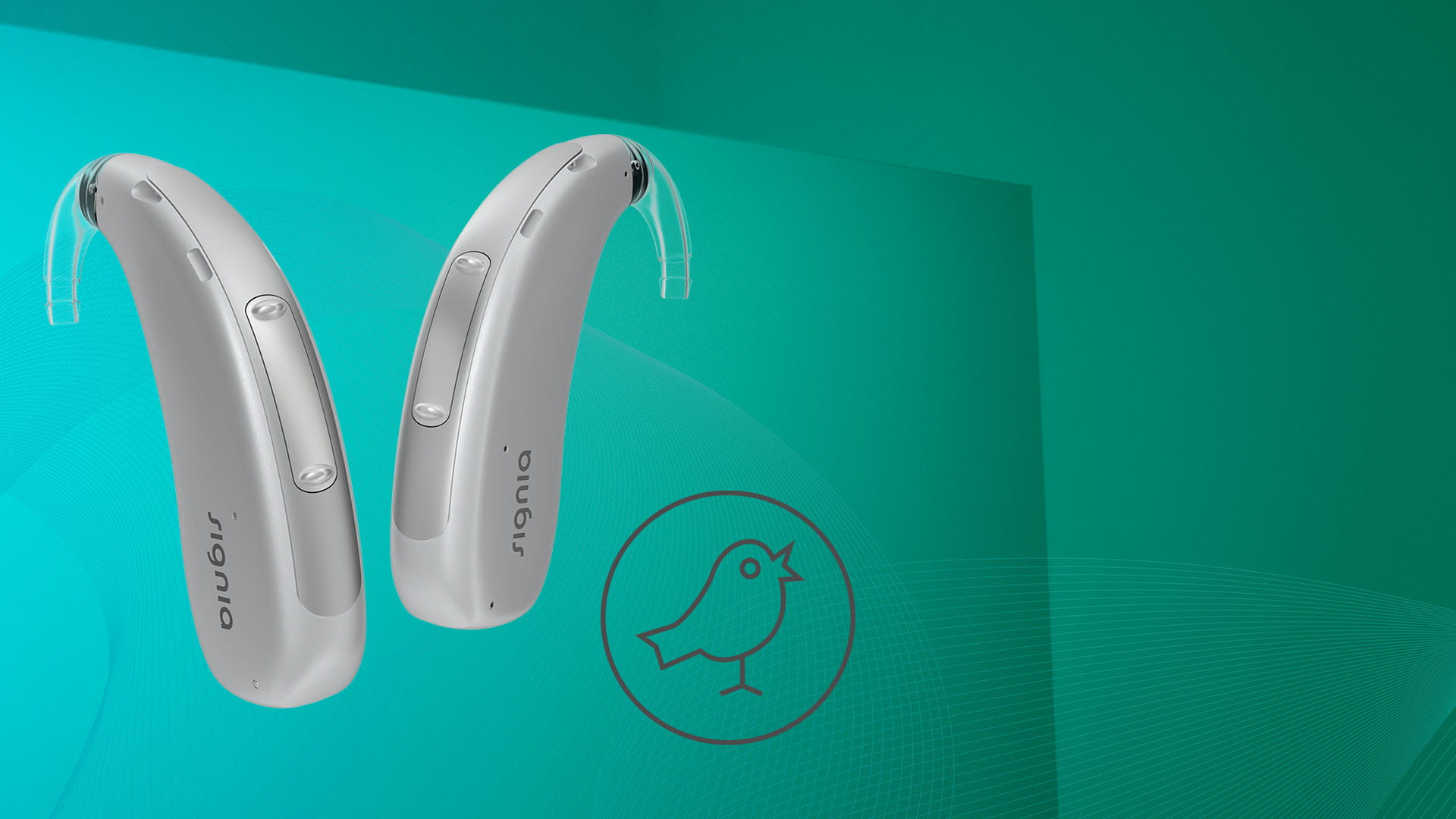 signia 集音器 補聴器 シグニア補聴器の新商品Signia Charge&Go AXを紹介【充電式耳