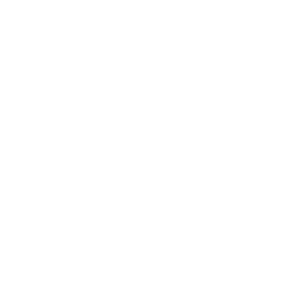 Signia IX icon